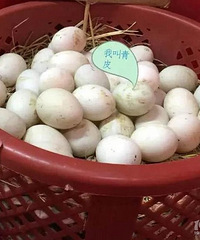 "奶奶35年腌鸭蛋的土方法,只需要做好这几步就能让鸭蛋个个都冒油