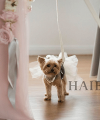 ��Ĵ���������������Ta ���ر��С"��ͯ"