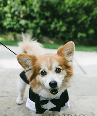 ��Ĵ���������������Ta ���ر��С"��ͯ"