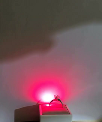 ��ʯ�Ļ��