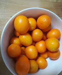 "孩子经常感冒咳嗽,可以试试金桔酱"