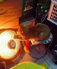 ���ǰ��첻��ҹ�ĺڣ��ǰ����䣬ҹ�����