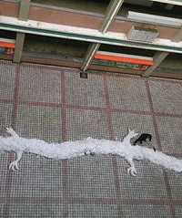衣锦小学惊现巨龙