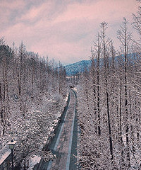 别样的青山湖绿道