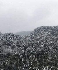 雪后的大山像水墨画