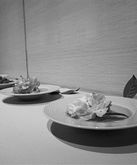 "“绿可娜”、“贝拉黑玫瑰”……你听说过这些山茶花吗?"