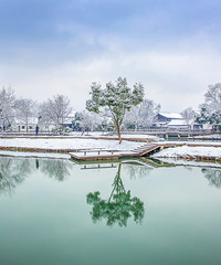 那一夜,那场雪......