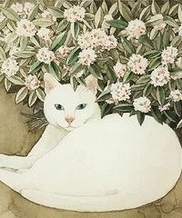 �����ѡ�������