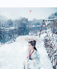 【翔子视觉】西溪晴雪 - 古风