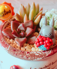 �żٵĵĵ�һ��