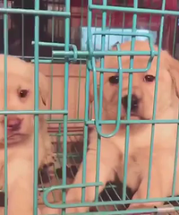 ����һ����������