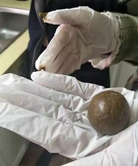 "膜拜!浙大教授教学生炼丹!学生上课泡脚,熬蜂蜜…"