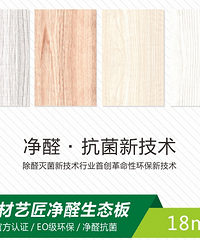 "中国板材十大品牌精材艺匠,您生态家装的守护者!"