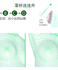 "断奶后怎么样可以丰胸,丰胸秘籍挺起你的胸"