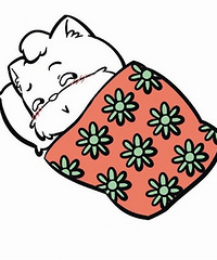 段味十足