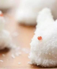 "四.糖和肥胖的关系,想必不用多说.不仅因"