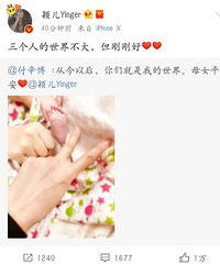 "明星扎堆生娃:颖儿产女谢娜生双胞胎 蒋勤勤怀二胎"