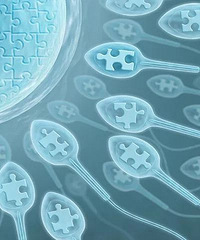 "熬夜、睡懒觉有损精子健康!男性备孕要睡好“黄金7小时”!"