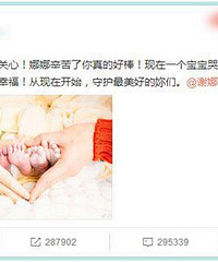 "谢娜张杰生了双胞胎!有知道海外试管怎么做的吗?"