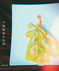 照片遇见生活。