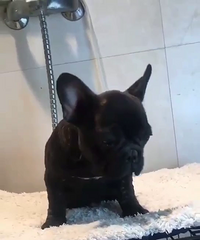 ���ŵĺڻ���ĸ������ȫ����ǰ�����۸񲻸ߣ���ץס����[����