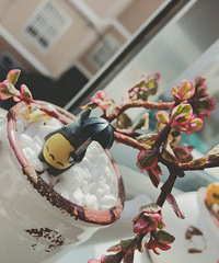 ��Υ������