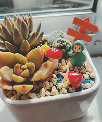 ��Υ������