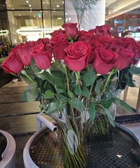 ���˽ڶ���һ����������