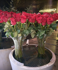 ���˽ڶ���һ����������