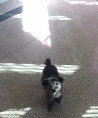 ���Լ�����С���̩��