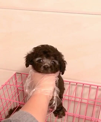 ����2���»�̩�Ϲ�ĸ����