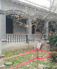 �������Ĵ��ڡ���־Ħ�ʾ�