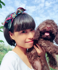 "巧克力泰迪妹妹找哥哥,各 巧克力泰迪妹妹找哥哥,十分乖巧"