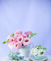 Ը��ǿ�����豻���۱��˰���ȴҲ���˵���