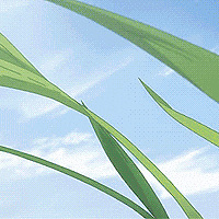 躲过4种“开春病”,给全年的好身体开个好头!