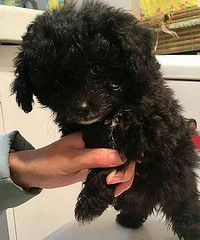 �������������