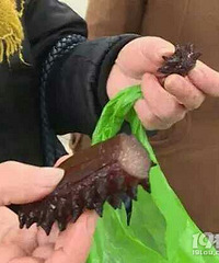 "女子买到\"实心海参\" 水产店老板:素海参"