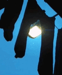 "独居姑娘万万没想到,自家的晾衣架半夜竟引"