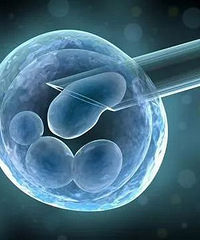 "离婚时老公废弃了冷冻胚胎:我有权不生育;妻子:我有生育权!法"