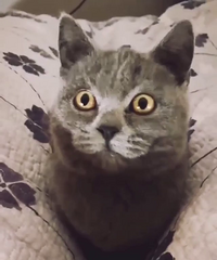 �󺣺���ȫ����