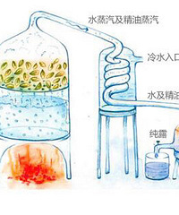 【小几说?6?1纯露】
