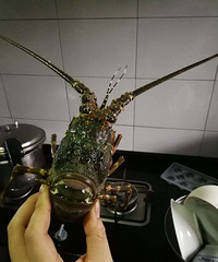 周公子私房菜之蒜蓉小青龙