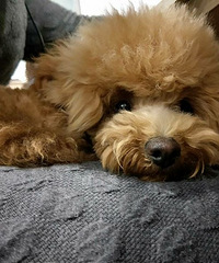 ���棬����ؼ�