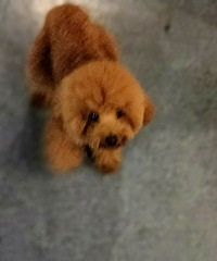 ���棬����ؼ�