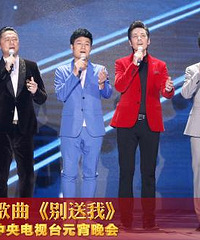 央视元宵晚会文化味浓 冬奥健儿唱《真心英雄》