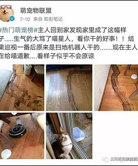 ��ˬ���������������ڿ�����Ȼ��ɨ�ػ���������