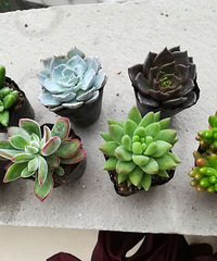 �в�������