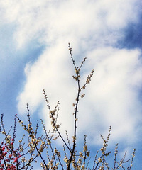 ������û��̤���ĺ�ȥ��