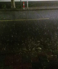 ��˵��������