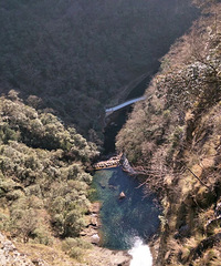 桐庐白云源风景区岳泉居民宿欢迎大家来踏青